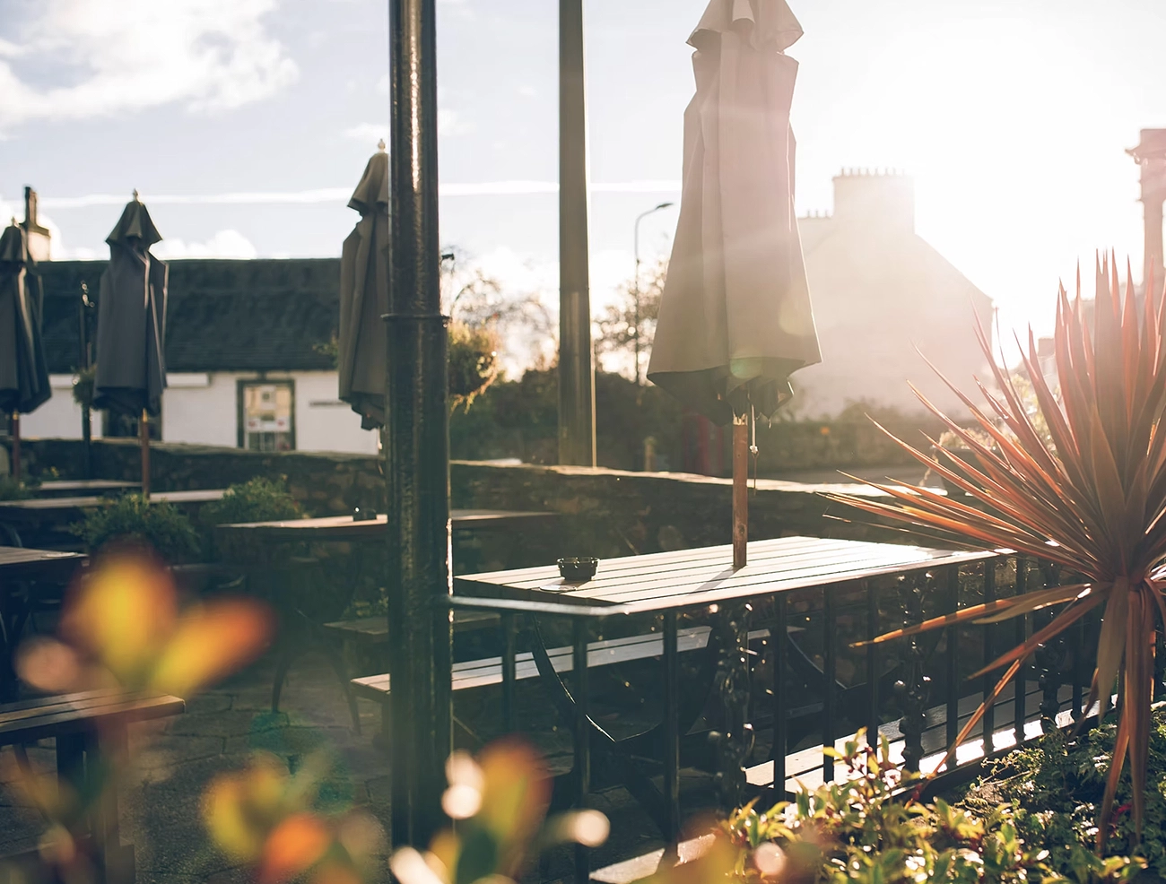 Terrace.webp
