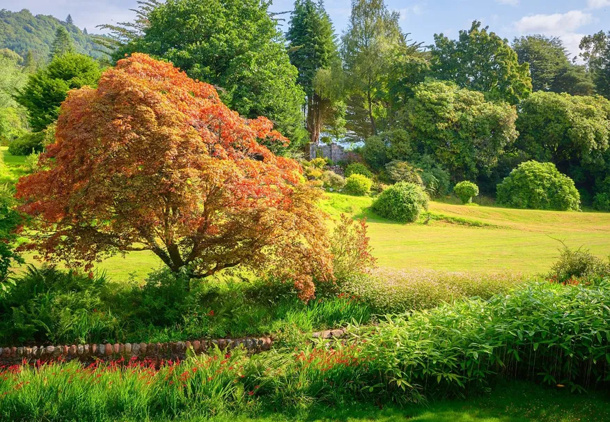 Crarae Garden.webp