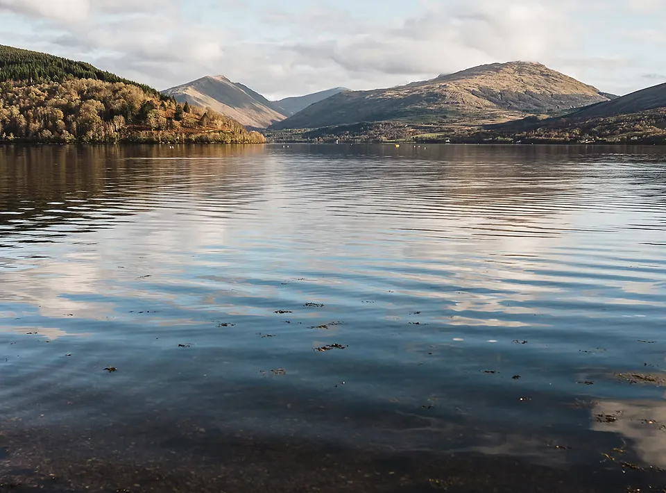Loch Fyne.webp