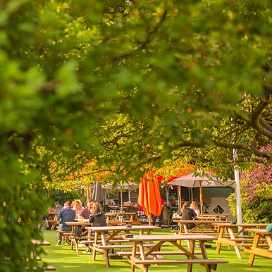 Garden Bar Small.webp