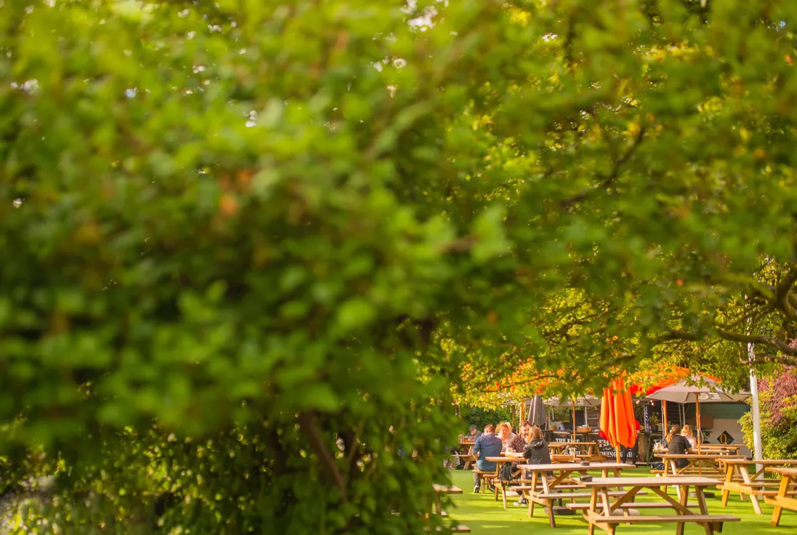 Garden Bar Large.webp